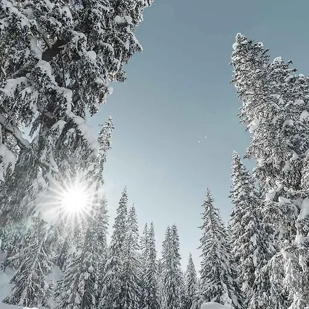 Alpensonne - Panoramazimmer & Restaurant 3*