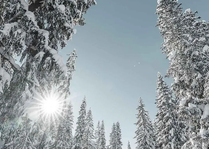 Alpensonne - Panoramazimmer & Restaurant 3*